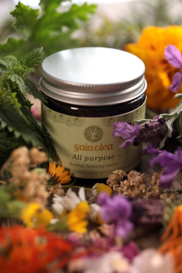 All Purpose Organic Healing Balm - Image 2