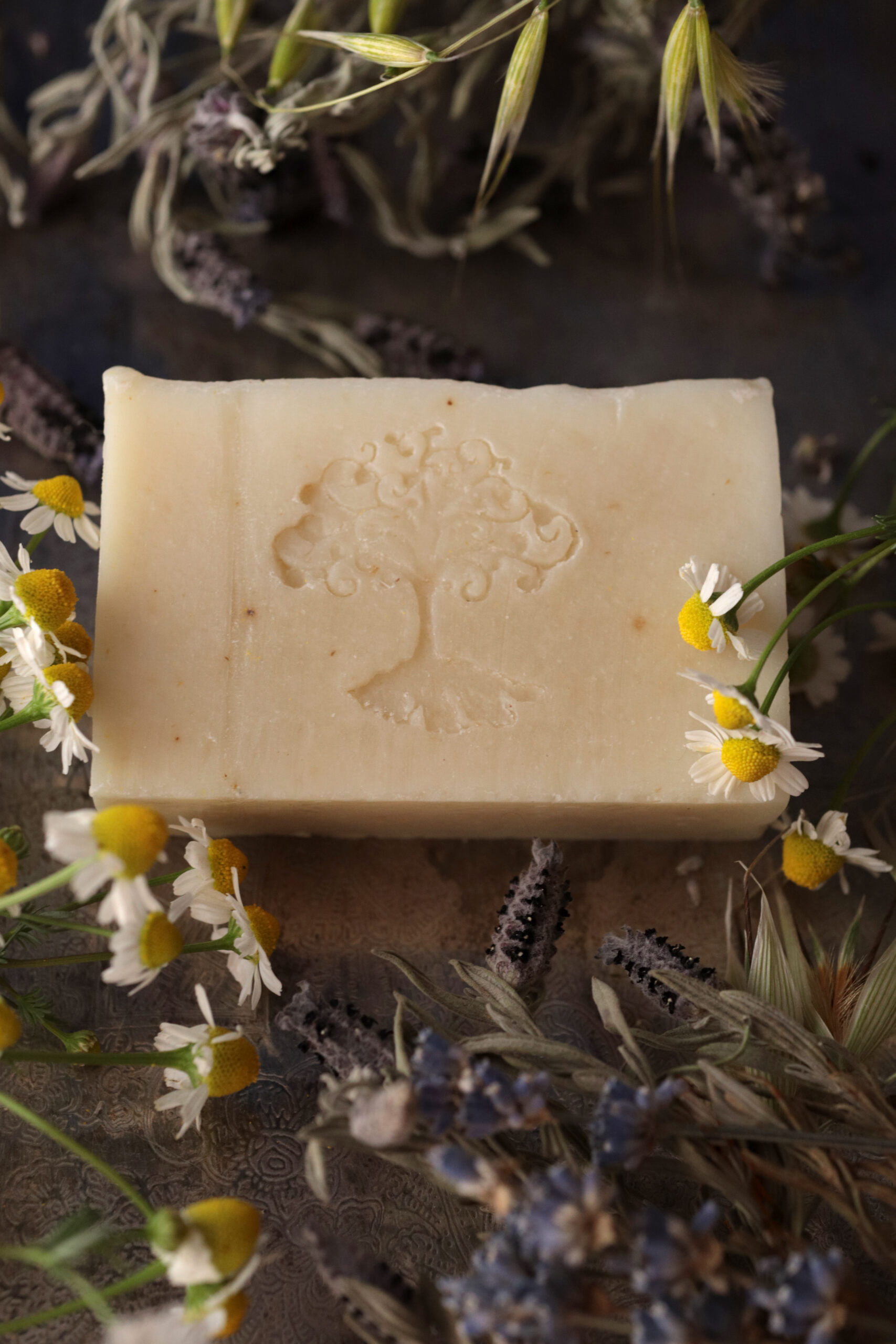 Gentle Baby soap - Image 2