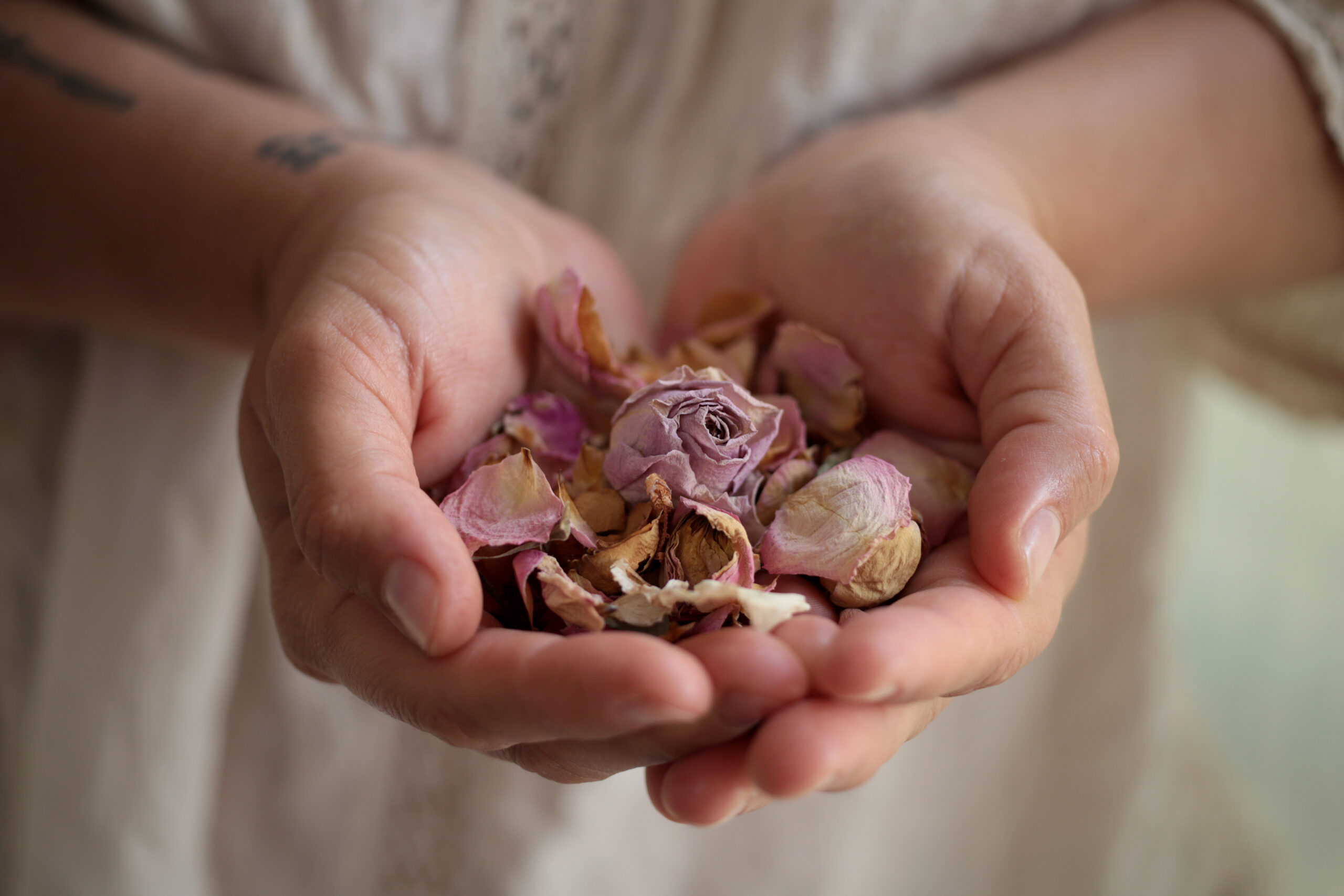 Herbs & Tinctures